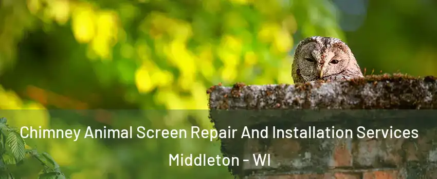 Chimney Animal Screen Repair And Installation Services Middleton - WI
