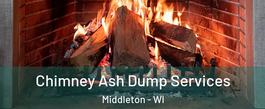 Chimney Ash Dump Services Middleton - WI