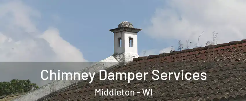  Chimney Damper Services Middleton - WI