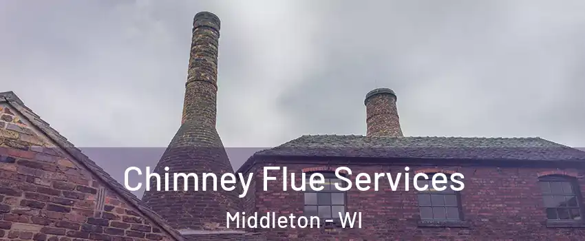  Chimney Flue Services Middleton - WI
