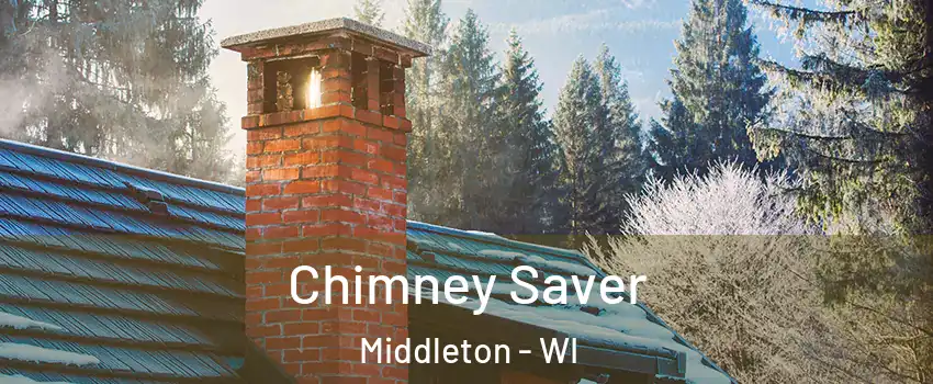  Chimney Saver Middleton - WI