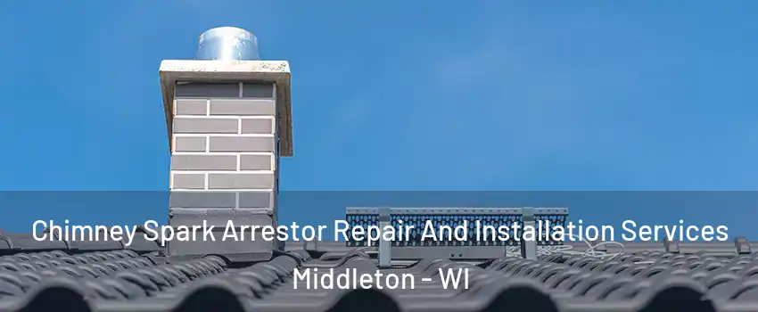 Chimney Spark Arrestor Repair And Installation Services Middleton - WI
