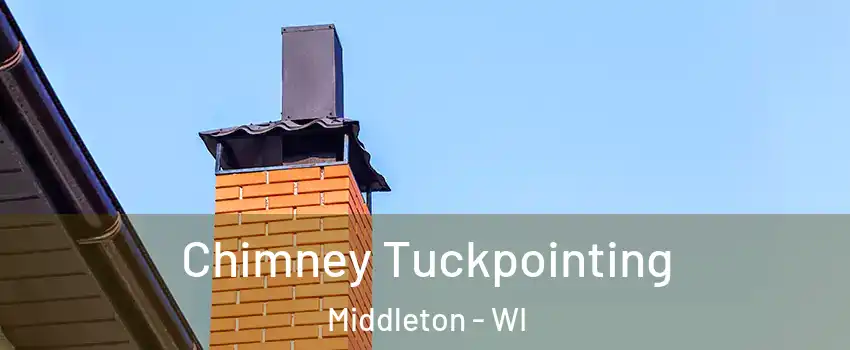  Chimney Tuckpointing Middleton - WI