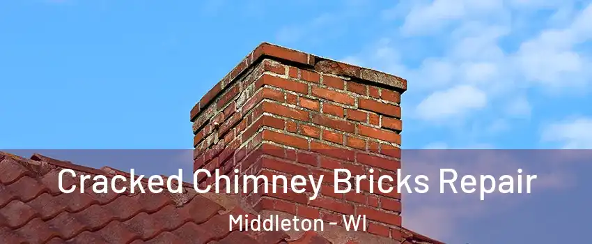 Cracked Chimney Bricks Repair Middleton - WI