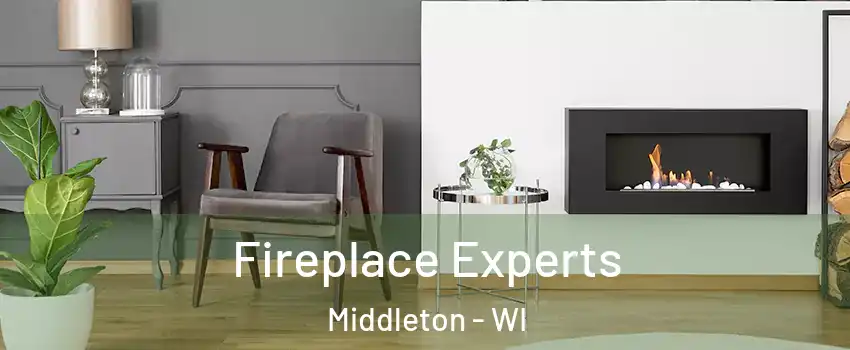  Fireplace Experts Middleton - WI