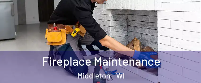  Fireplace Maintenance Middleton - WI
