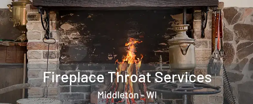 Fireplace Throat Services Middleton - WI