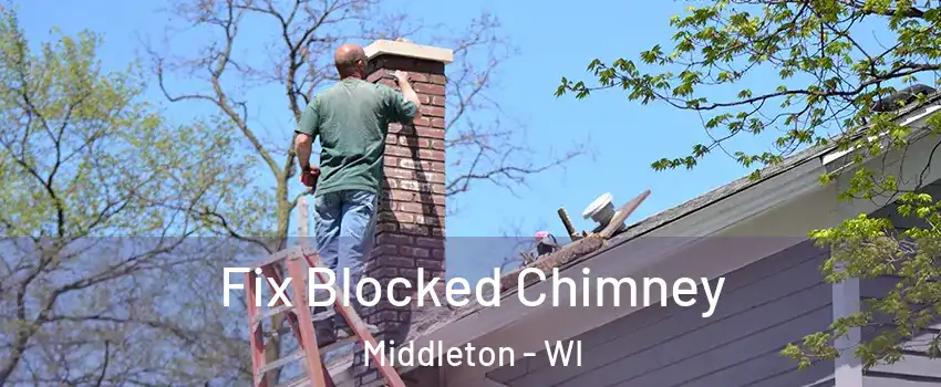 Fix Blocked Chimney Middleton - WI