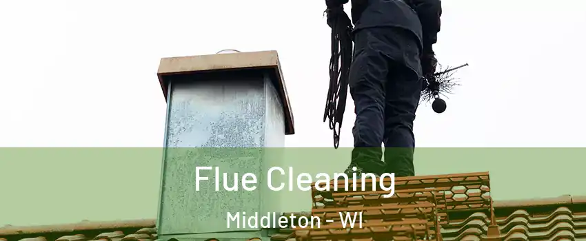 Flue Cleaning Middleton - WI