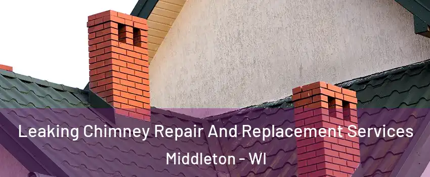 Leaking Chimney Repair And Replacement Services Middleton - WI