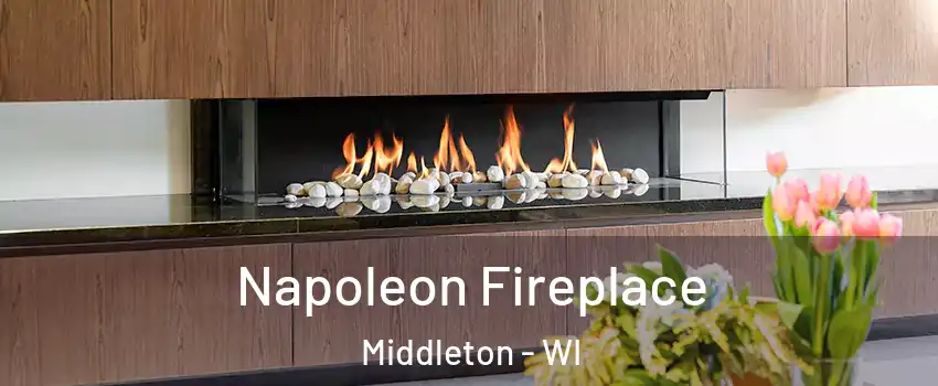  Napoleon Fireplace Middleton - WI
